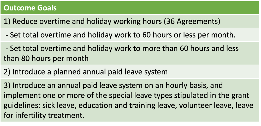 Outcome goals for Work Style Reform grant