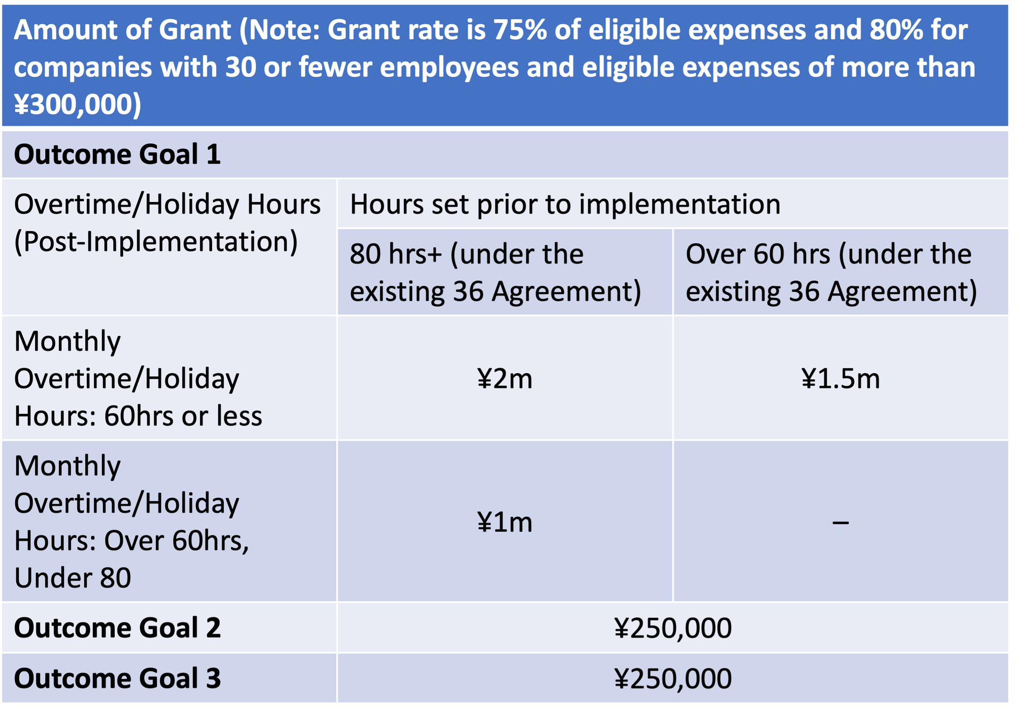 Amount of the MHLW Grant