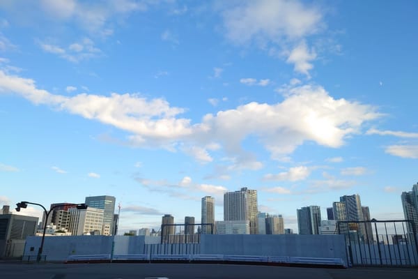 The photo is the view of the former Tsukiji Market site in Tokyo from the northwest